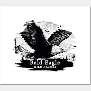 Bald Eagle - WILD NATURE - BALD EAGLE -12 Posters and Art